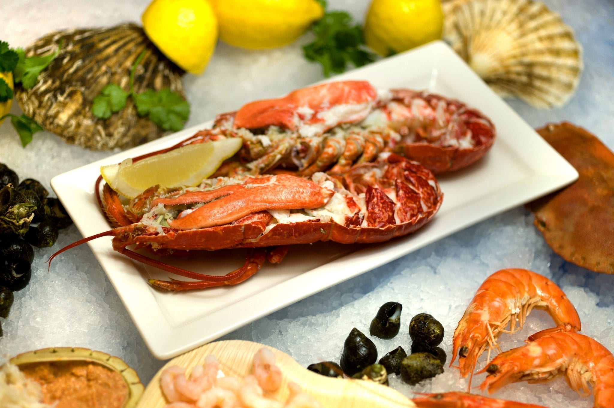 The Hatch counter and seating at Latimers Seafood, Whitburn